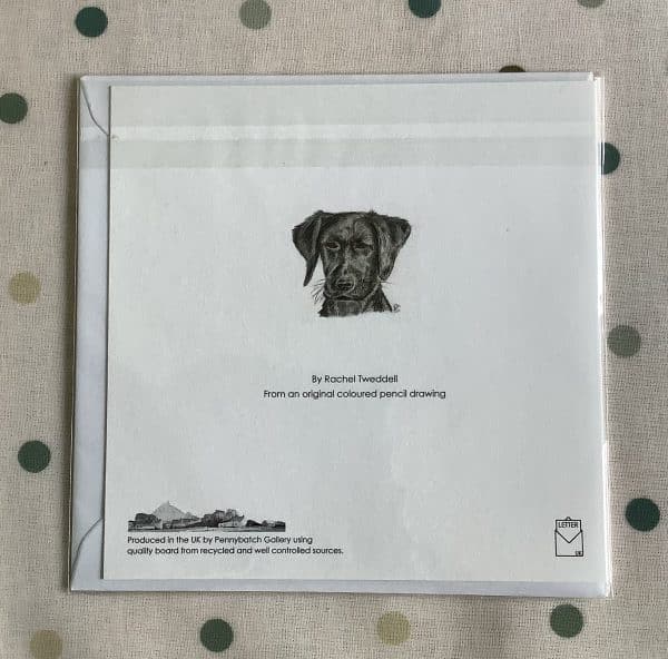 'Black Lab' Greeting Card - Image 2