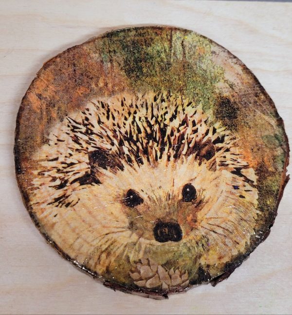 one round wood slice with Hedgehog detail
