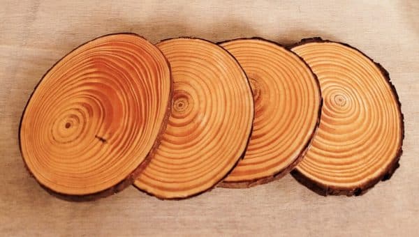 four round plain wood slices