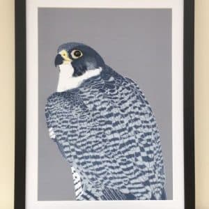 Bird giclee prints