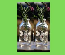 Set of 2 small bee-etched bottles