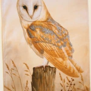 Pack of 2 Barn Owl tea towel