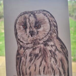 ‘Owl’ Greeting Card