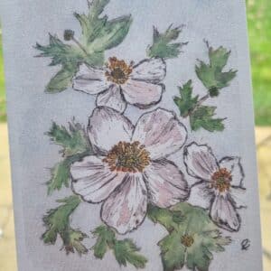 ‘Christmas Rose’ Greeting Card